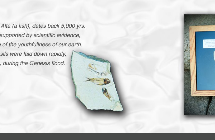 fossilslider11